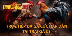 trực tiếp đá gà