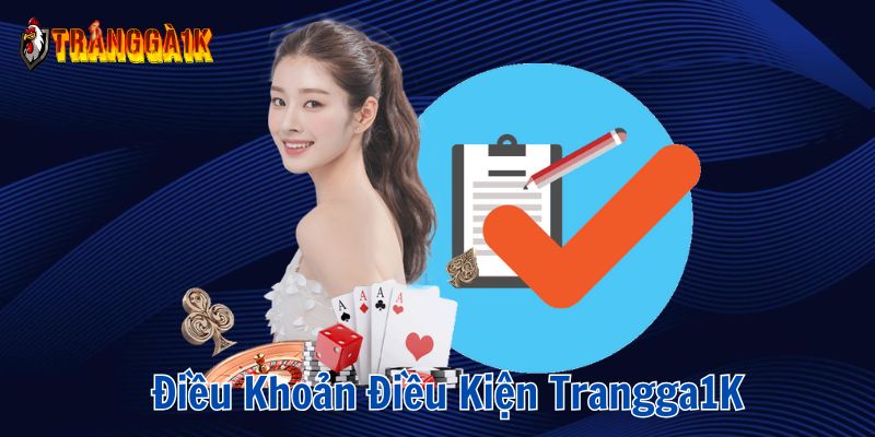 điều khoản và điều kiện