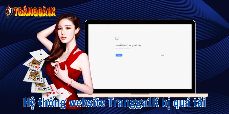 link vào trangga1k