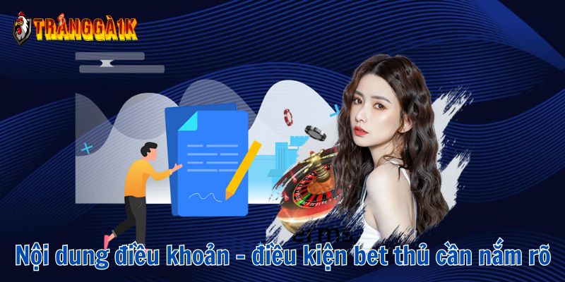 điều khoản và điều kiện