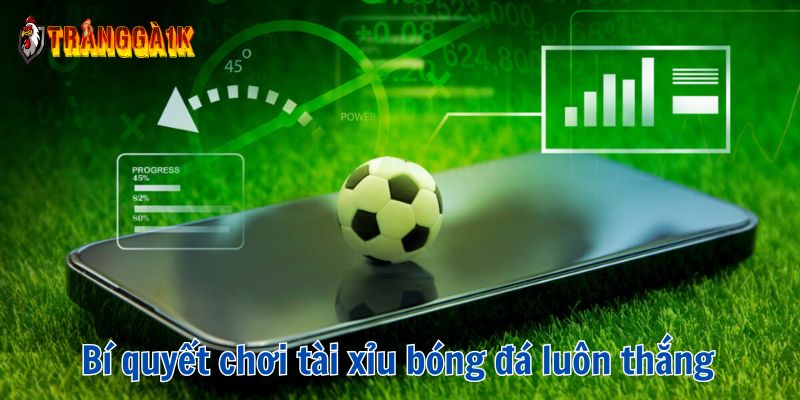 kèo tài xỉu