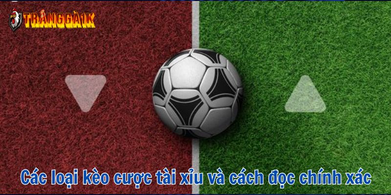 kèo tài xỉu